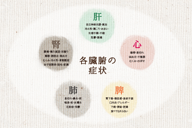 各臓腑の症状