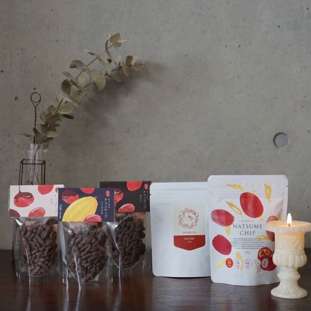 ナツメヤシ 10号 160cm 楽天市場】ナツメヤシ 7号鉢 : 四国ガーデン楽天市場支店